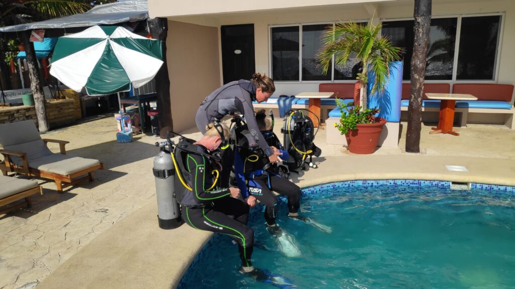 working as a divemaster
